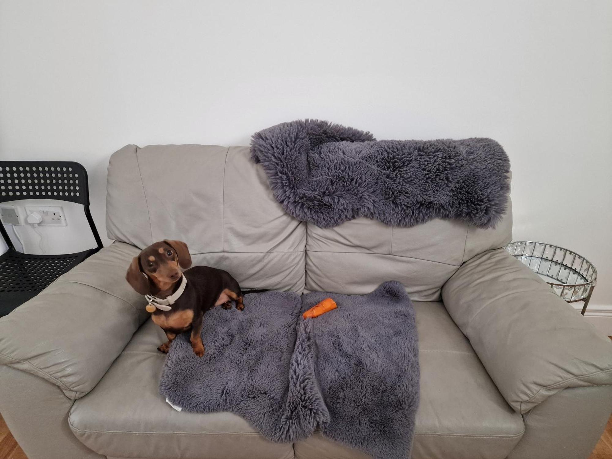 Хостел Aunty Katie'S House, Ni Tourist Board Certified & Located On The Main Oldpark Road To Belfast, With Free Continental Breakfast & Free Ultra Fast Sky Internet, Free Sky Sports & Free Sky Cinema, Self-Check In After 10Pm Gmt Екстер'єр фото