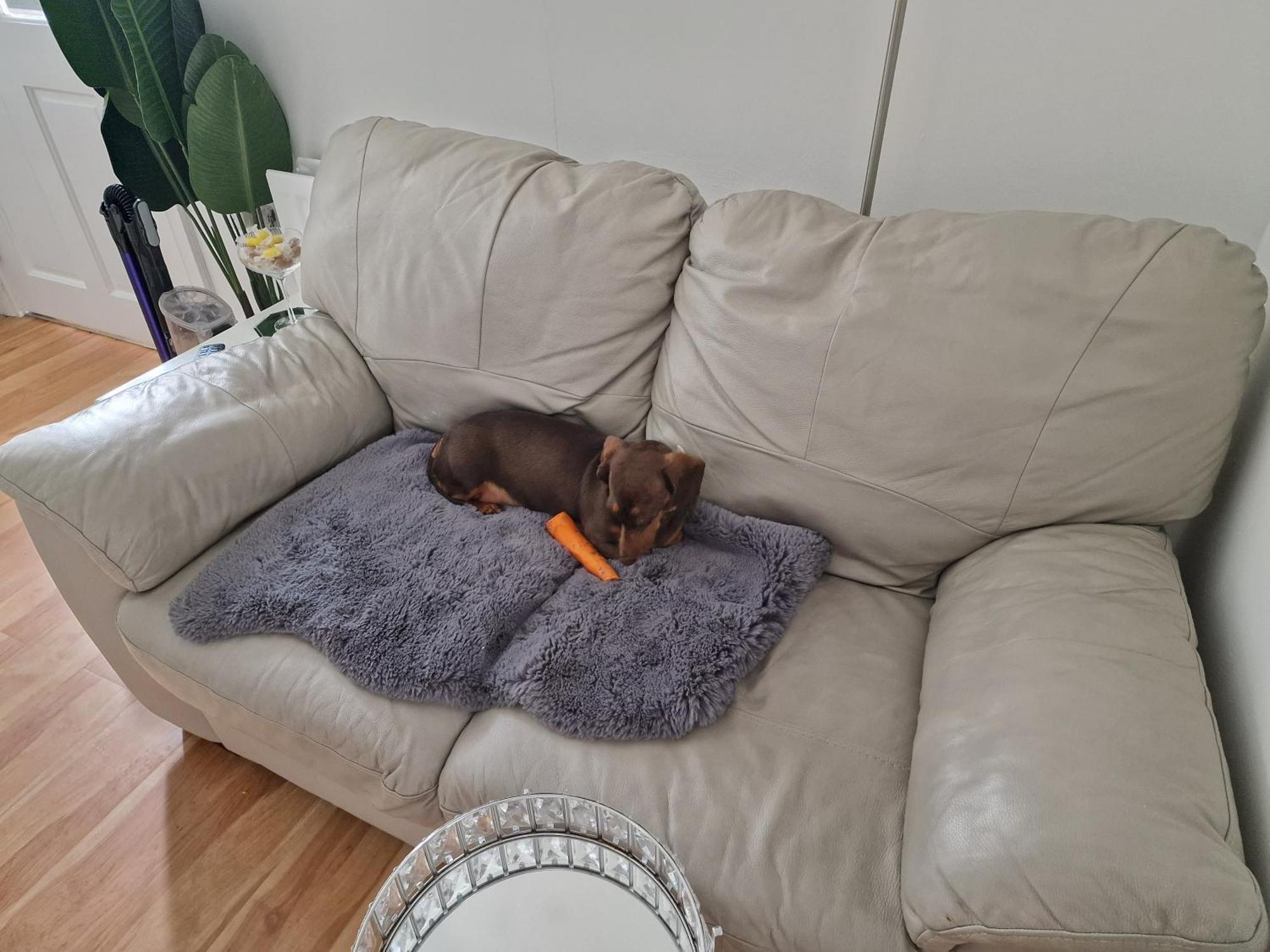 Хостел Aunty Katie'S House, Ni Tourist Board Certified & Located On The Main Oldpark Road To Belfast, With Free Continental Breakfast & Free Ultra Fast Sky Internet, Free Sky Sports & Free Sky Cinema, Self-Check In After 10Pm Gmt Екстер'єр фото